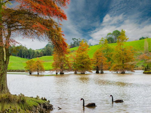 McLaren Falls Park